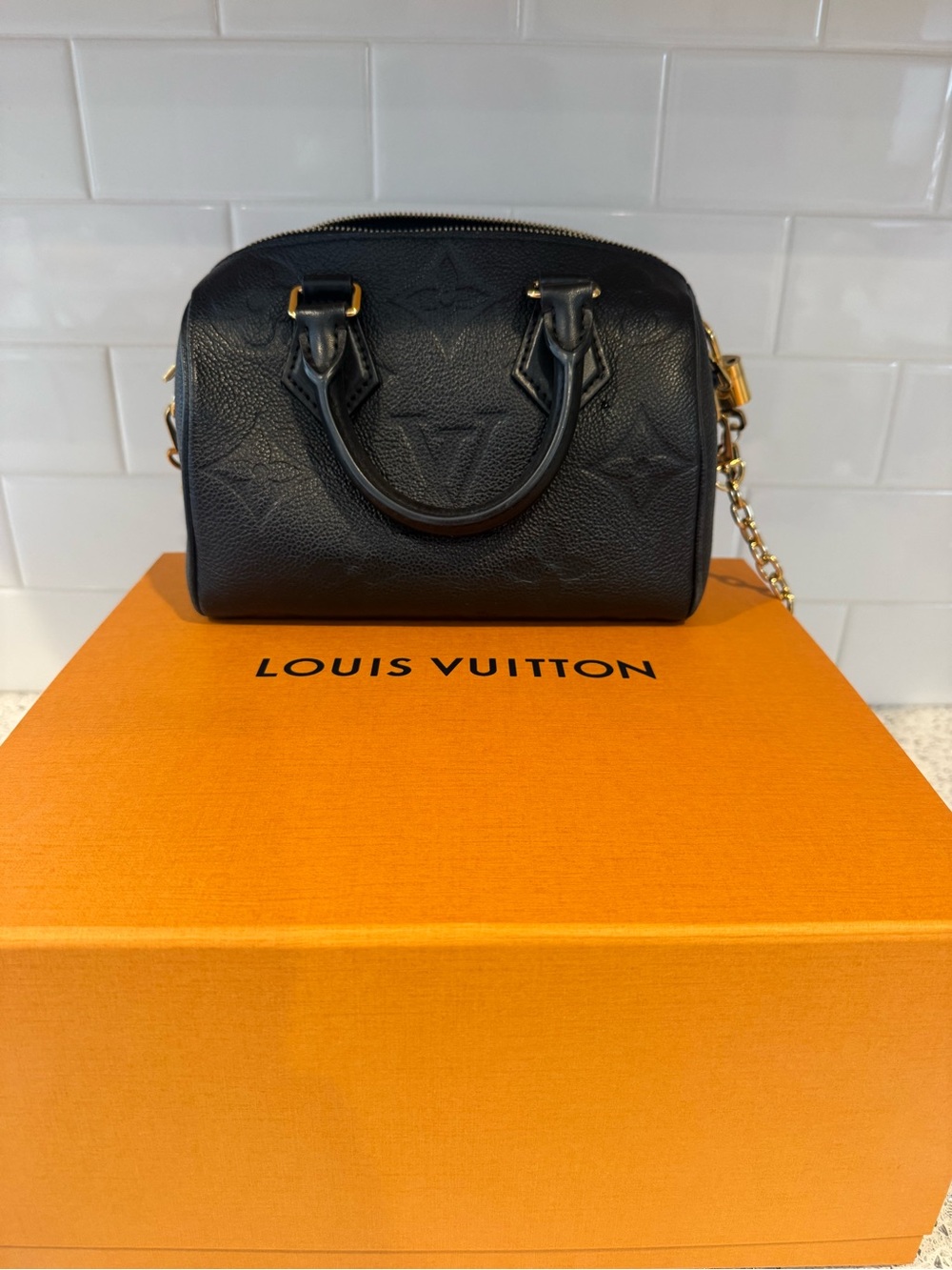 Louis Vuitton Black Speedy 20